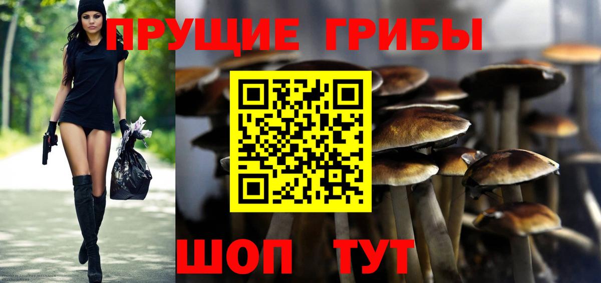 Псилоцибиновые грибы мухоморы  Галлюциногенные грибы Psilocybine cubensis  Вход с VPN  продажа наркотиков  Павлово 