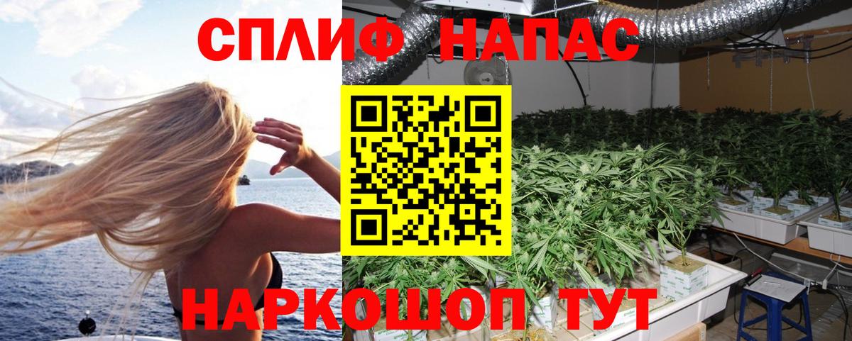 МАРИХУАНА индика  Конопля планчик  Вход с VPN  Марихуана гибрид  Павлово  Канабис Bruce Banner 
